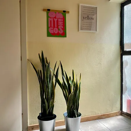 Krea Apartments! Apartment Catania